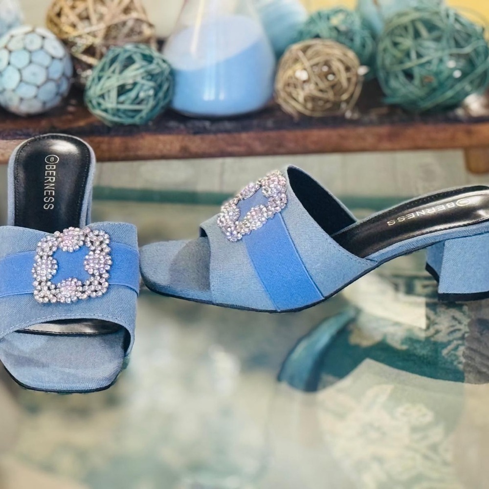 Berness Blue Embellished Women's Mules